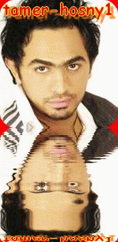 tamer